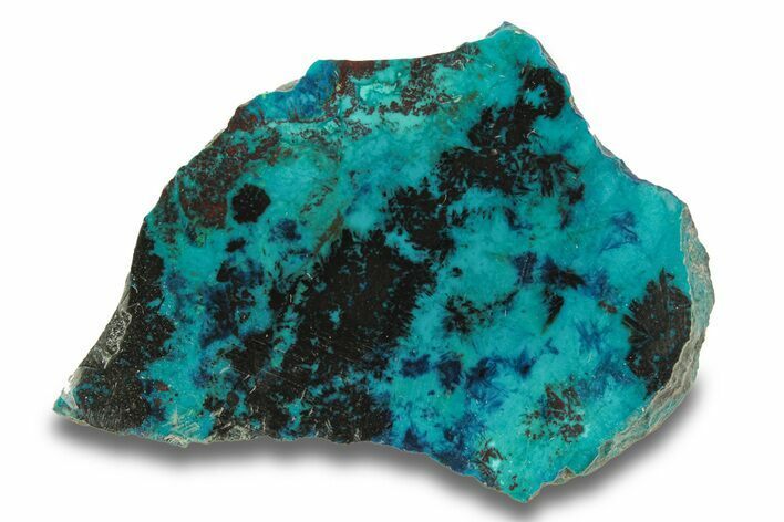 Colorful Chrysocolla and Shattuckite Slab - Mexico #280134